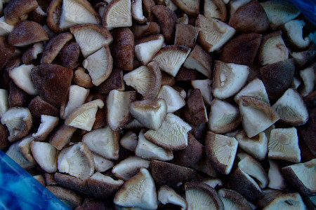 резанные грибы мороженные