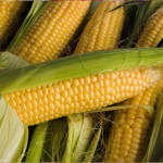 кукуруза в вегетарианстве